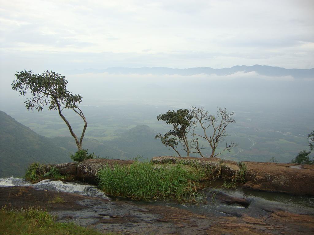 Beaumont Plantation Retreat Hotel Thekkady Bagian luar foto
