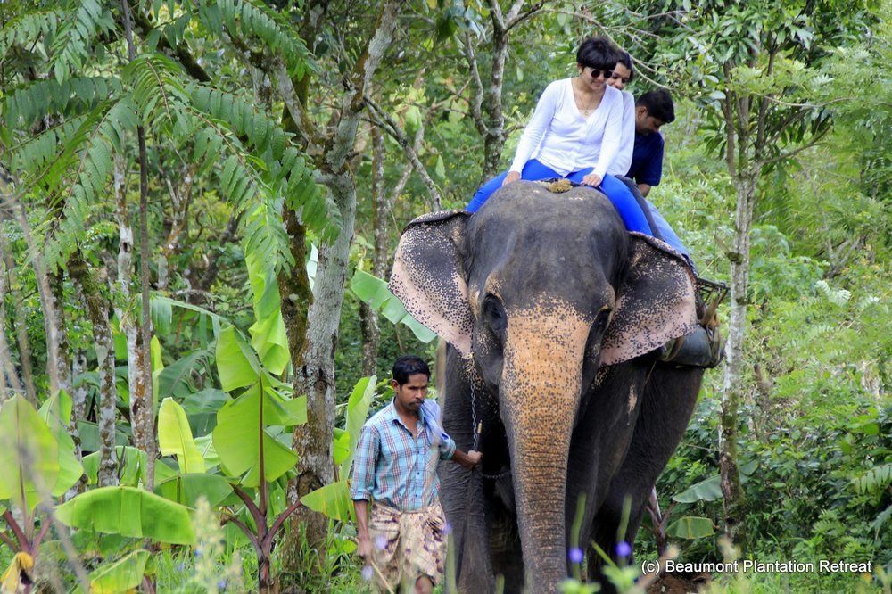 Beaumont Plantation Retreat Hotel Thekkady Bagian luar foto